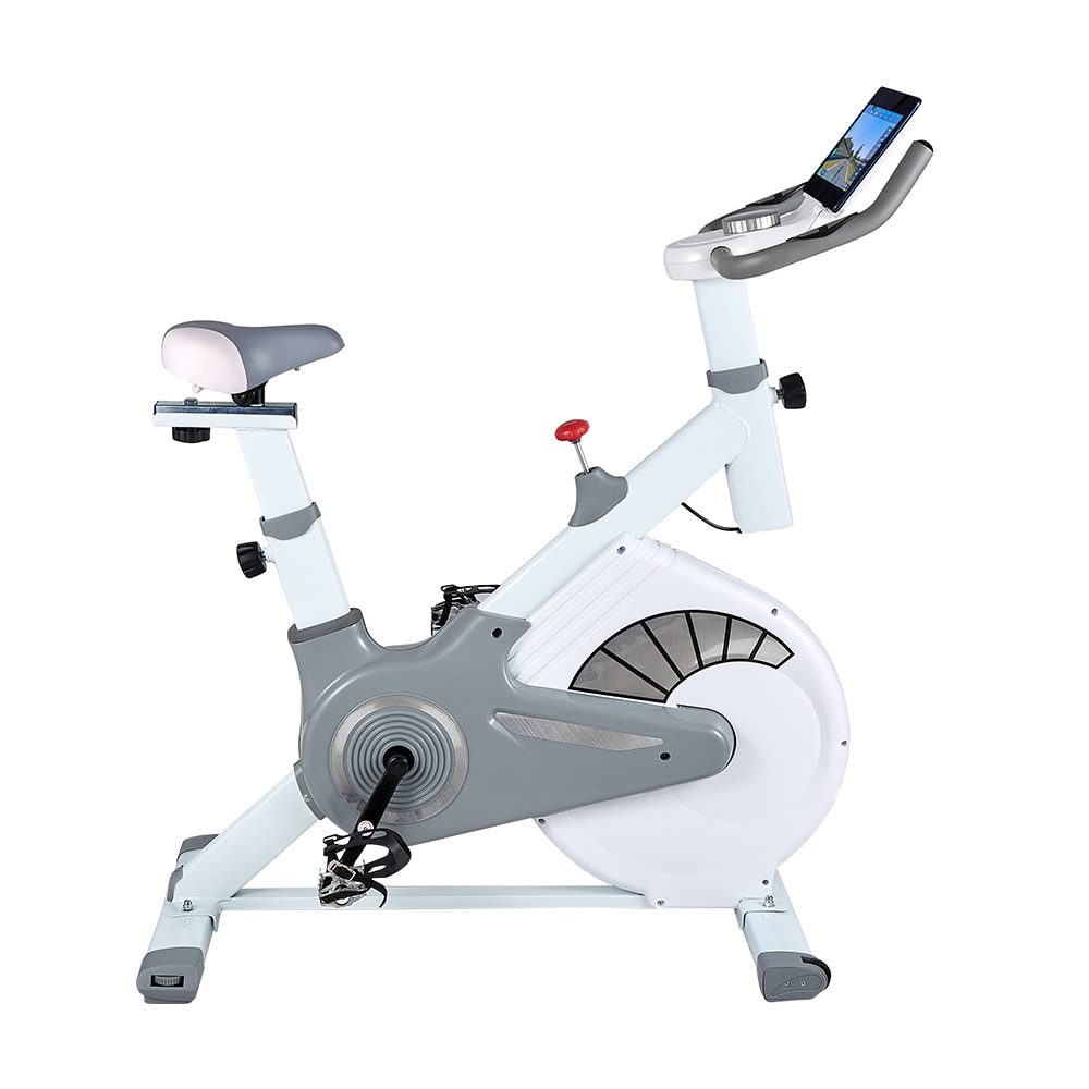 613 Home small intelligent APP indoor silent exercise bike