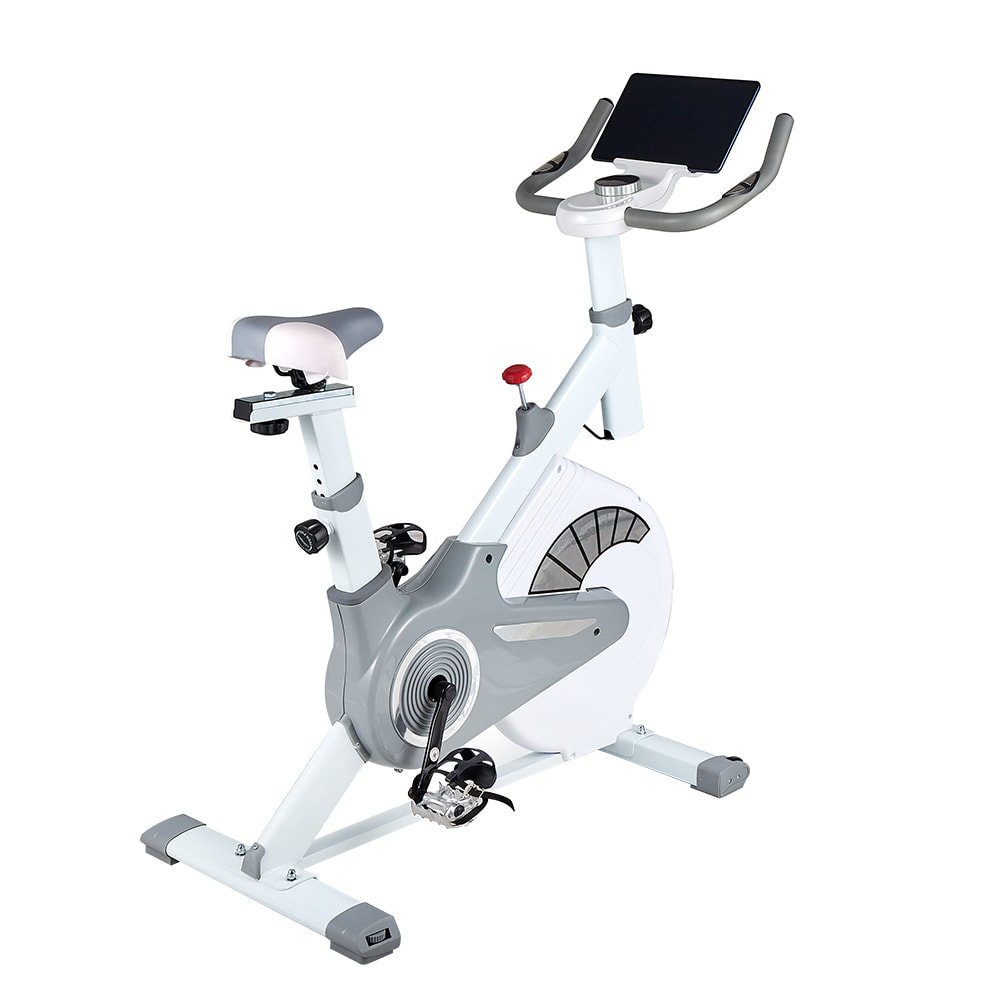 613 Home small intelligent APP indoor silent exercise bike